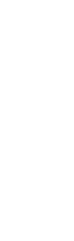 Cidade Desentupidora